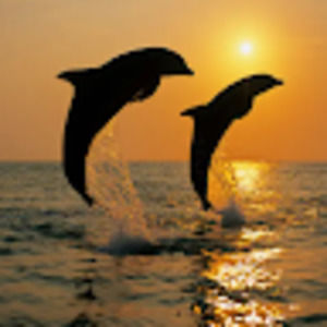 Meet your Posher, Jen